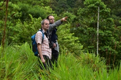 Nico and Martin search for new plots